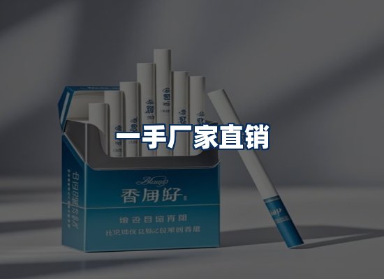 专业团队办公环境
